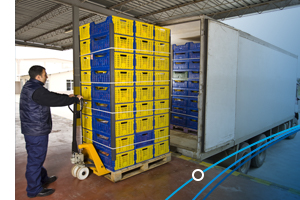 Food and beverage pallets being loaded at dock