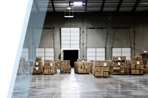 Consolidated freight in a warehouse on pallets